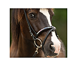 Flash Noseband Rainbow