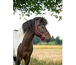 Headcollar Svs
