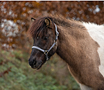 Headcollar Kngur