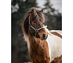 Headcollar Kngur