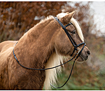 Iceland Headstall Eldur