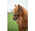 Iceland Flash Noseband Eldur