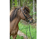Iceland Flash Noseband Eldur