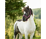 Headcollar Dagur