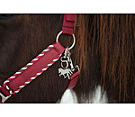 Headcollar Dagur