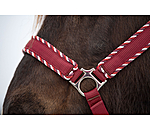 Headcollar Dagur