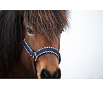 Headcollar Dagur