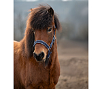 Headcollar Dagur