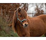 Headcollar Floki