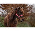 Headcollar Floki