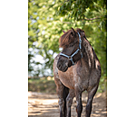 Headcollar Floki