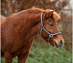 Headcollar Floki