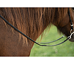 Reins BioThane Grip