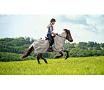 Fly Exercise Rug Fluga