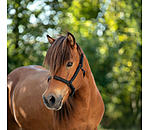 Leather Headcollar Blika