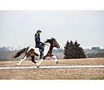 Hooded Winter Riding Jacket Elgur