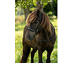 Anatomical Noseband Leikur