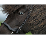 Anatomical Noseband Leikur