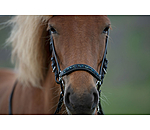 Drop Noseband Skína
