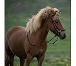 Drop Noseband Skína