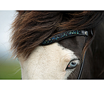 Browband Skna