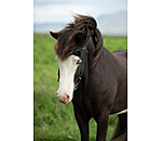 Browband Skna