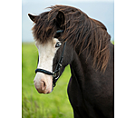 Browband Skna