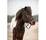 Anatomical Bridle Linur