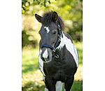 Headcollar Skina