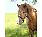 Headcollar Skina