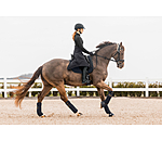 Soft Shell Riding Skirt Ceramic Rehab