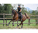 Saddle Pad Ceramic Rehab Cotton