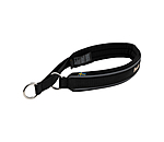 Pull Stop Dog Collar Charlie