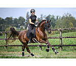 Comfort Mask for Horses Earless Ceramic Rehab