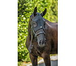 Comfort Mask for Horses Earless Ceramic Rehab