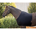 Shoulder Guard Ceramic Rehab for Horses