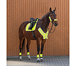 Hi-Vis Saddle Pad Neon Bright