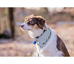 Reflective Neck Scarf for Dogs