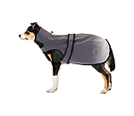 Reflective Dogcoat