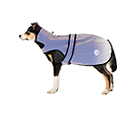 Reflective Dogcoat