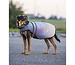 Reflective Dogcoat