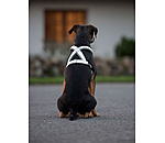 Reflective Dog Harness