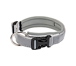 Reflective Dog Collar