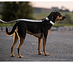 Reflective Dog Lead