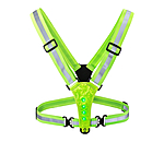 LED Hi-Vis Strap USB