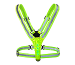 LED Hi-Vis Strap USB
