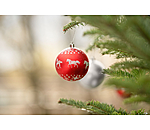 Christmas Baubles Set