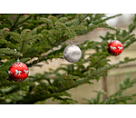 Christmas Baubles Set