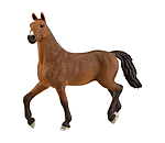 Oldenburger Mare