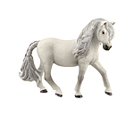 Iceland Pony Mare